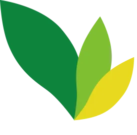 Web運用改善ディレクター